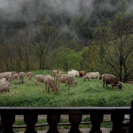 Can Serraima, Casa Rural A Prop De La Cerdanya Neva エクステリア 写真